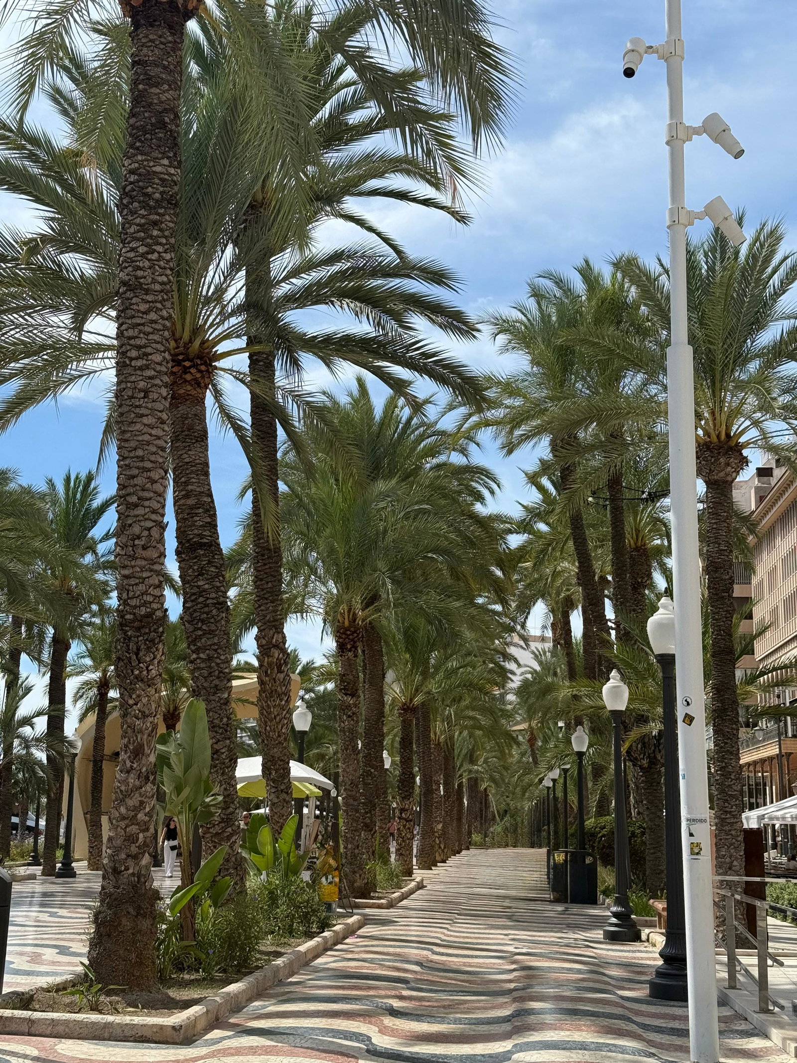Alicante boulevard